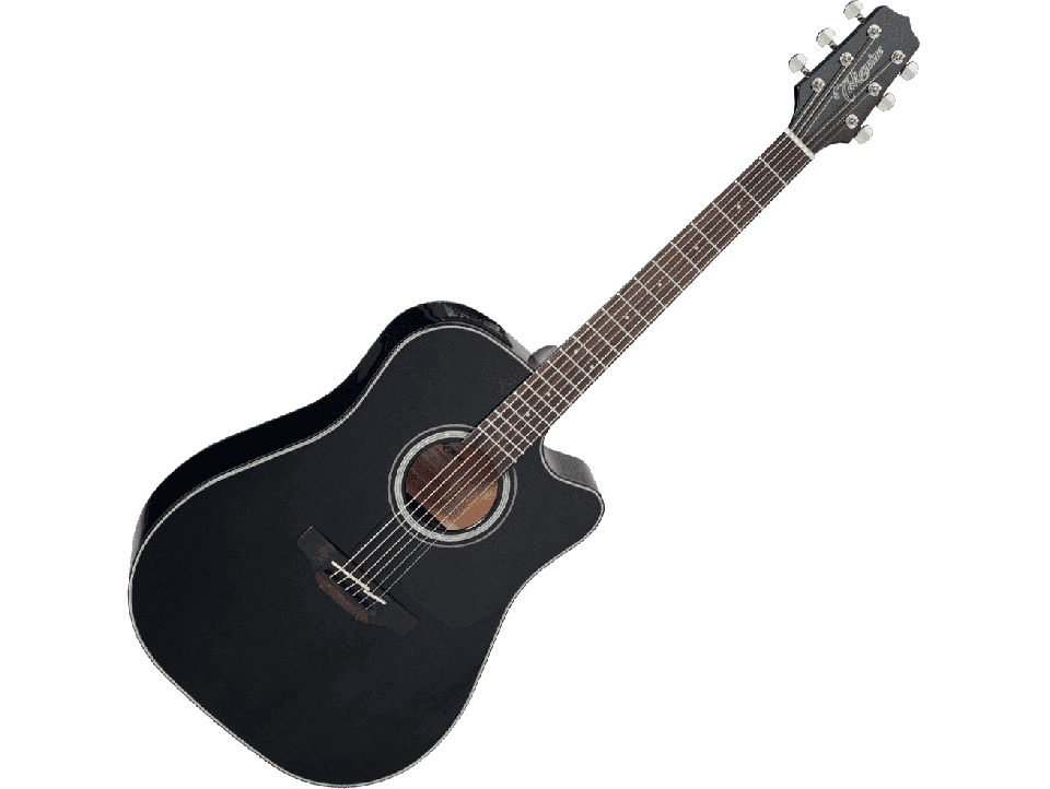 TAKAMINE SERIE G