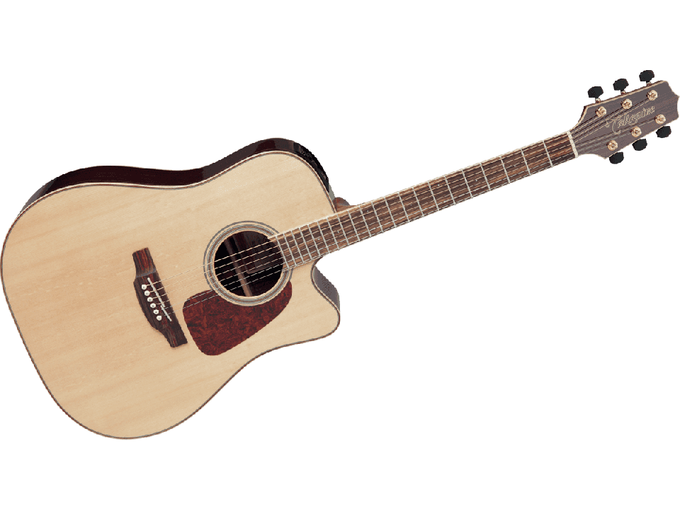 TAKAMINE SERIE G90