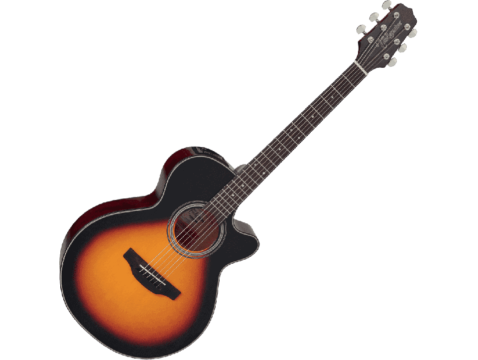 TAKAMINE SERIE G15