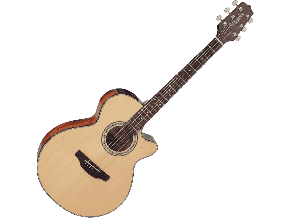 TAKAMINE SERIE G15