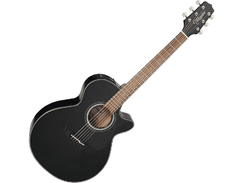 TAKAMINE SERIE G30