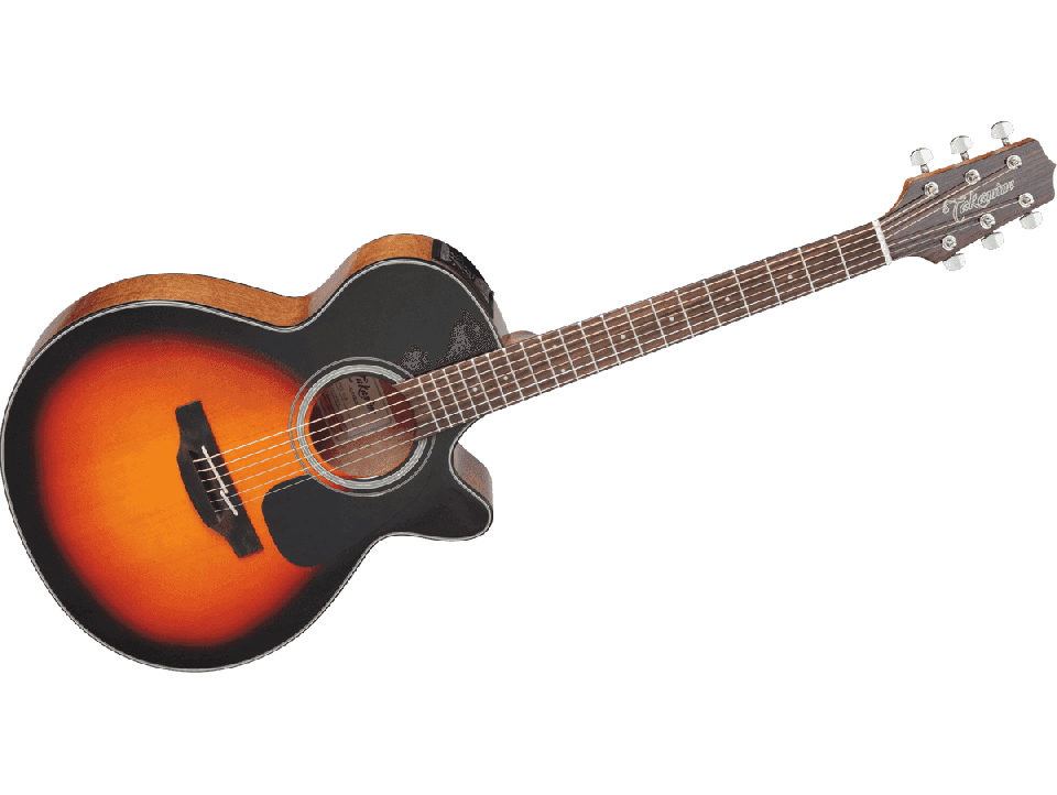 TAKAMINE SERIE G