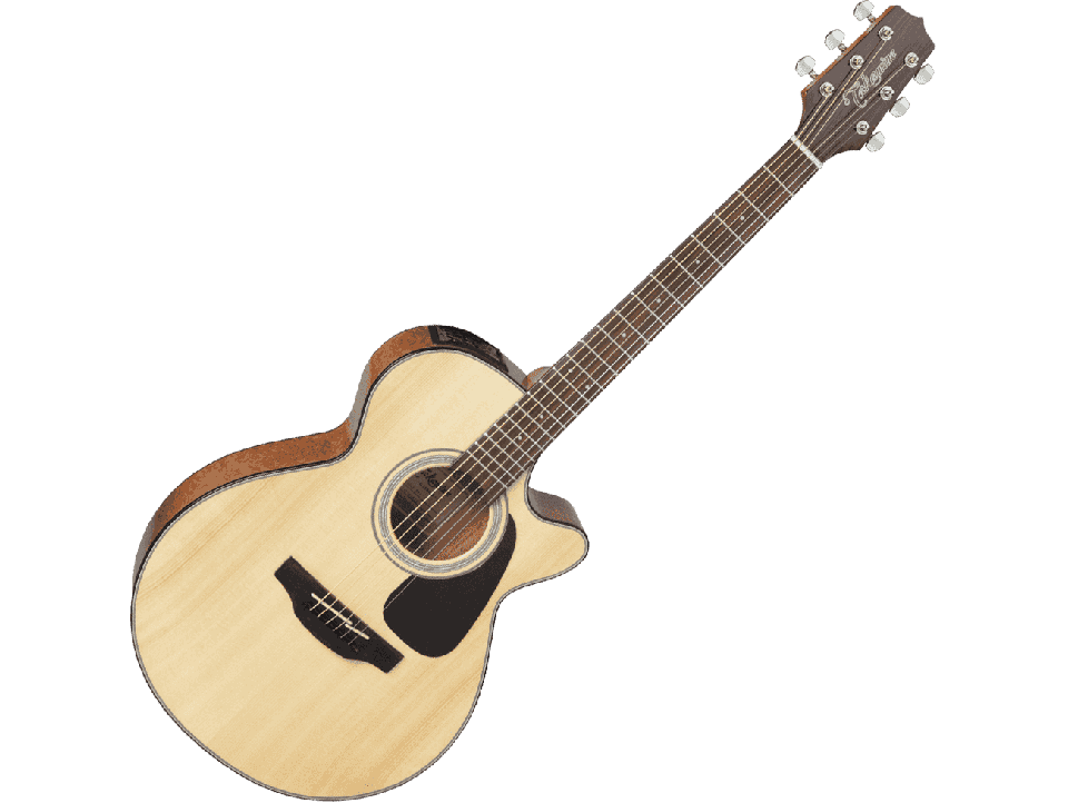 TAKAMINE SERIE G30