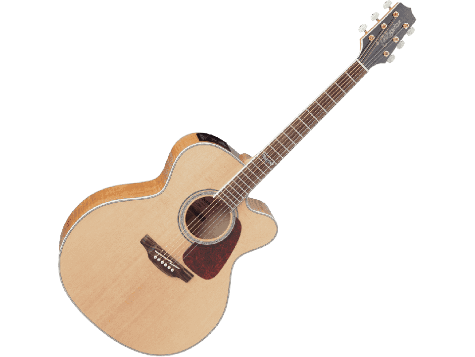 TAKAMINE SERIE G70