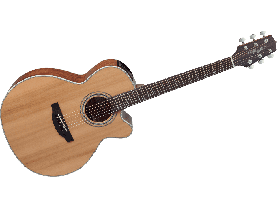 TAKAMINE SERIE G20