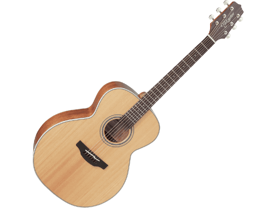 TAKAMINE SERIE G20