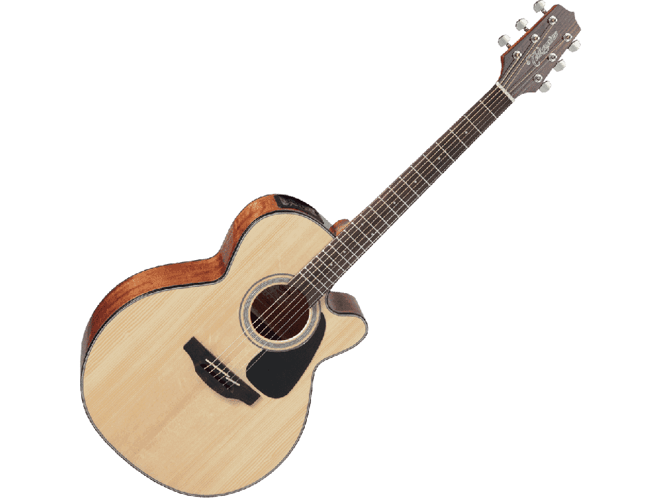 TAKAMINE SERIE G30