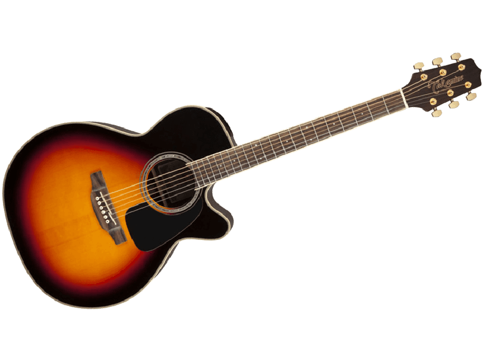 TAKAMINE SERIE G50