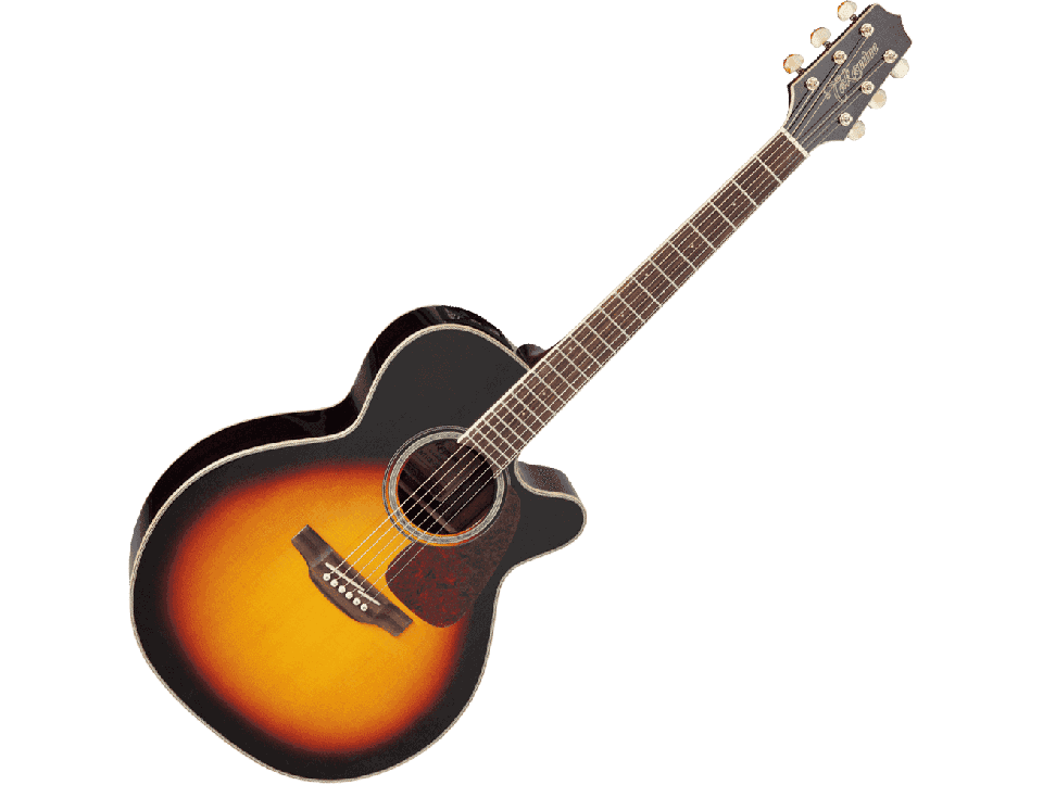 TAKAMINE SERIE G70