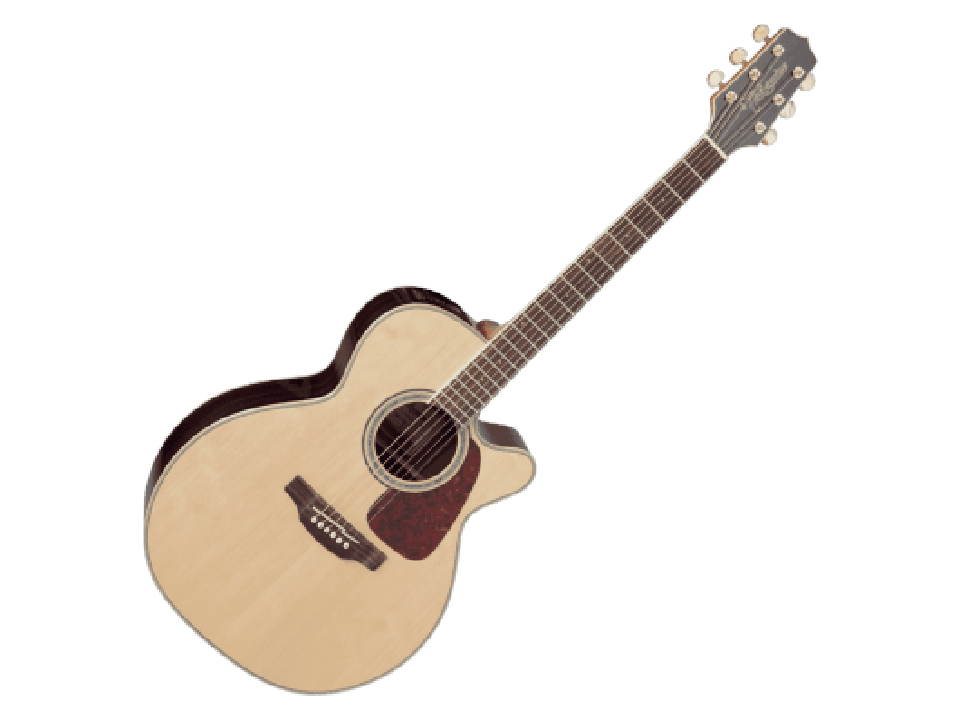 TAKAMINE SERIE G70