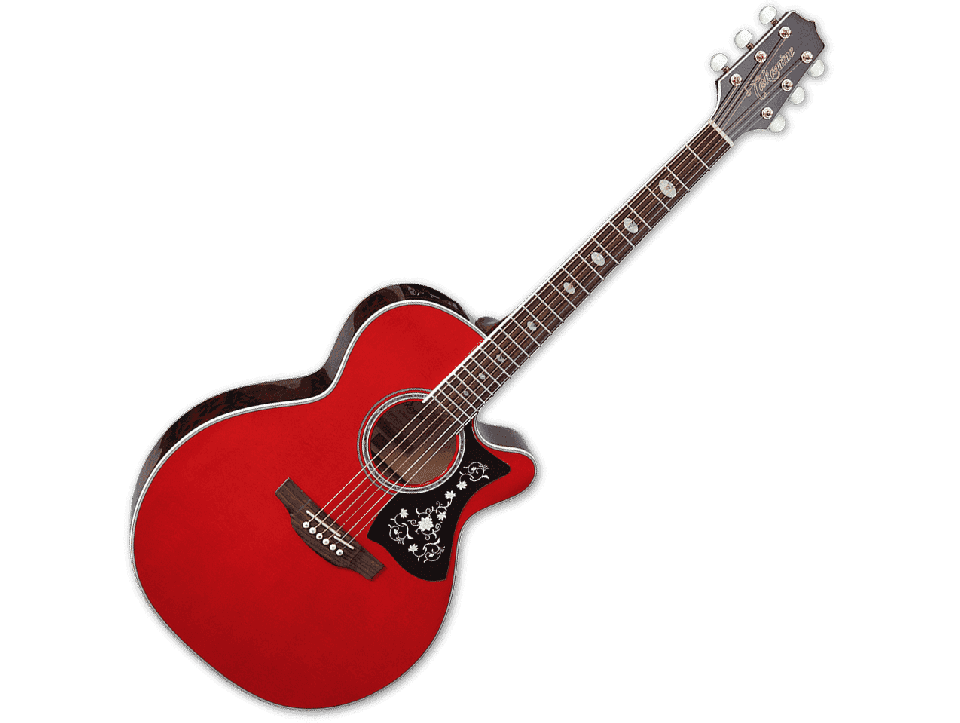 TAKAMINE SERIE G70