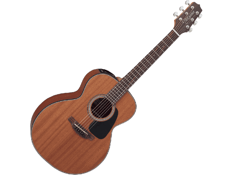 TAKAMINE SERIE G10