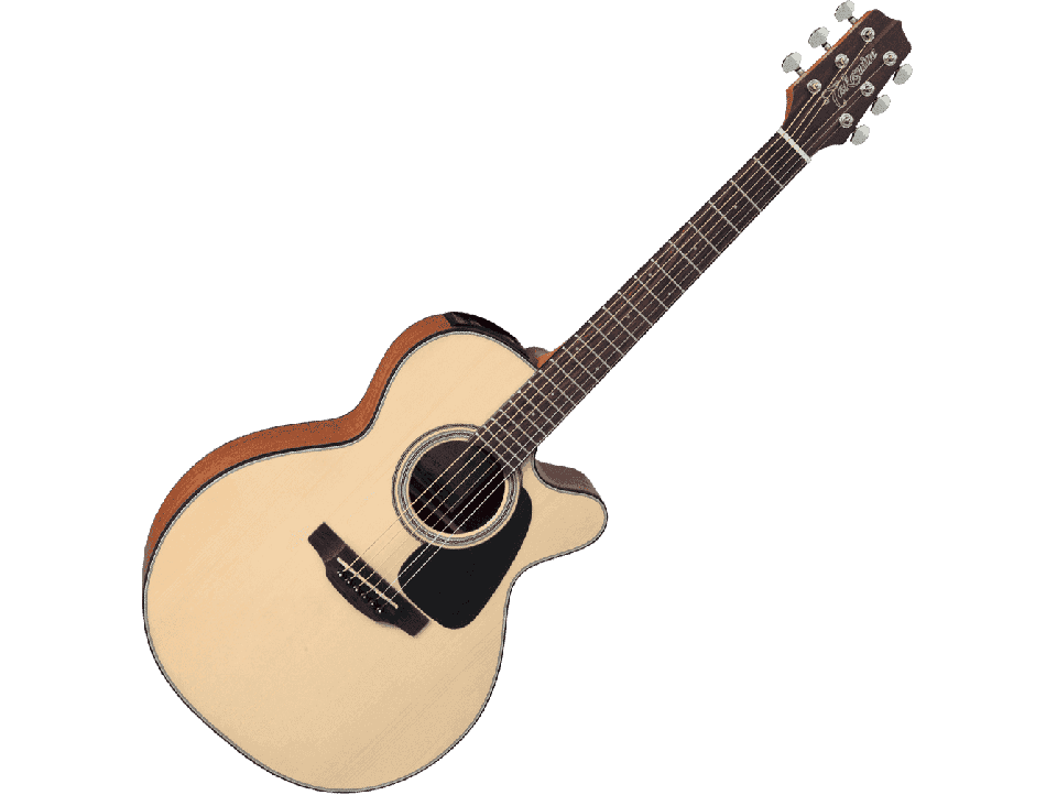 TAKAMINE G10