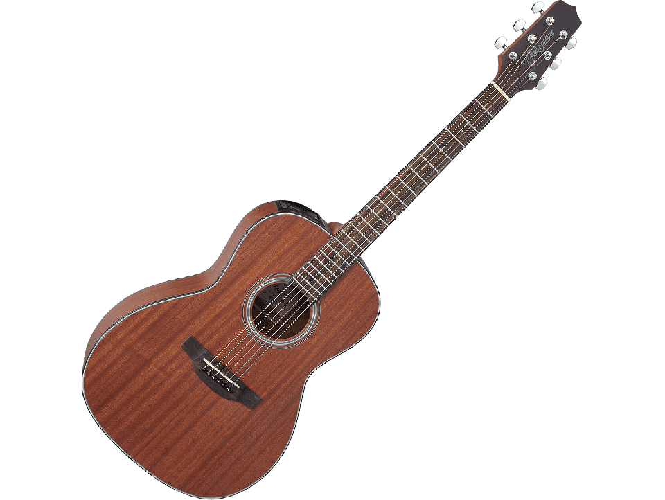 TAKAMINE G10