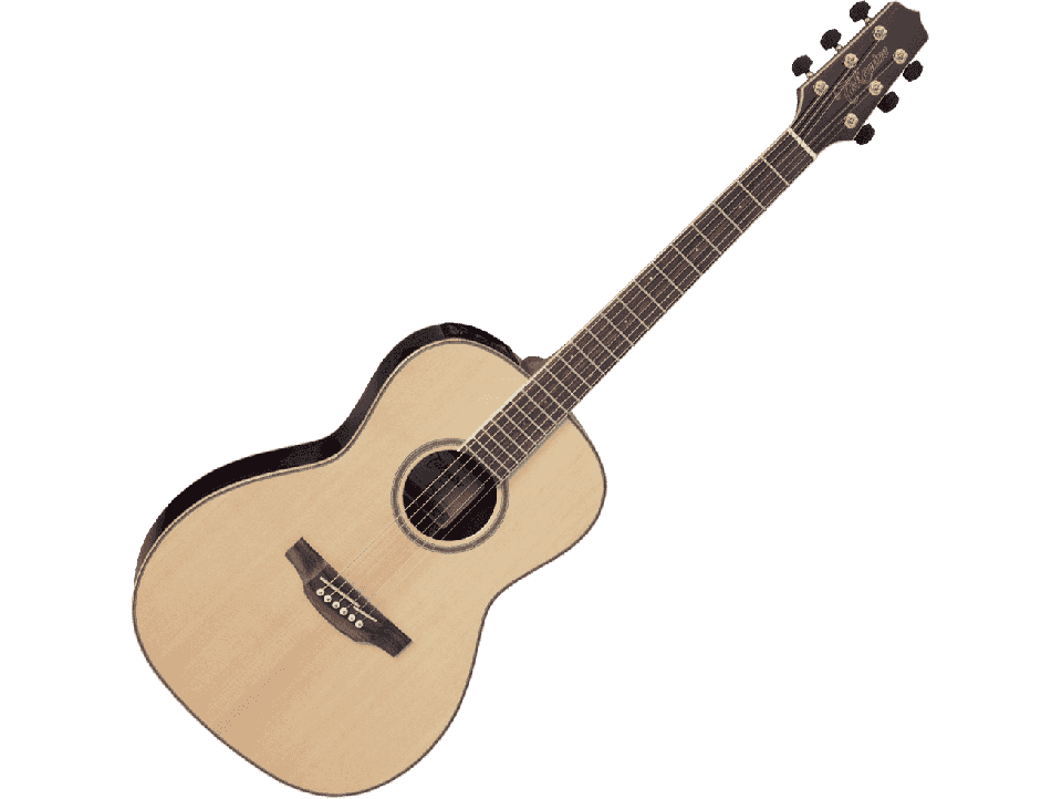 TAKAMINE SERIE G90