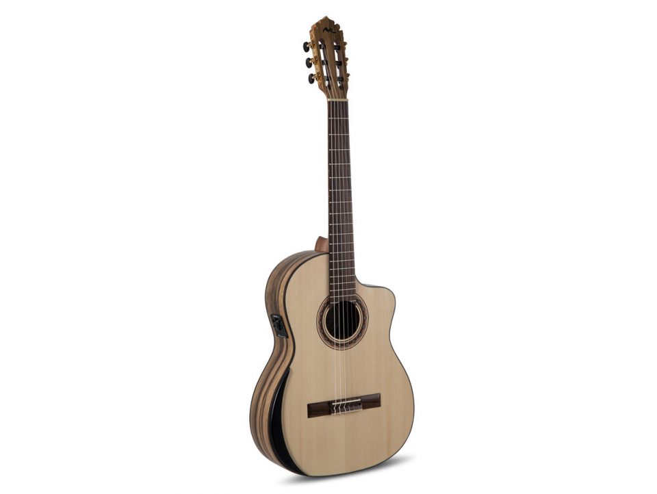 GUITARE CLASSIQUE MANUEL RODRIGUEZ PRIVATE STOCK