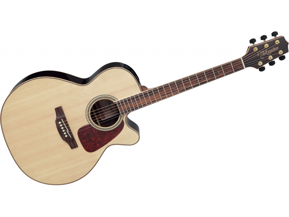 TAKAMINE SERIE G93