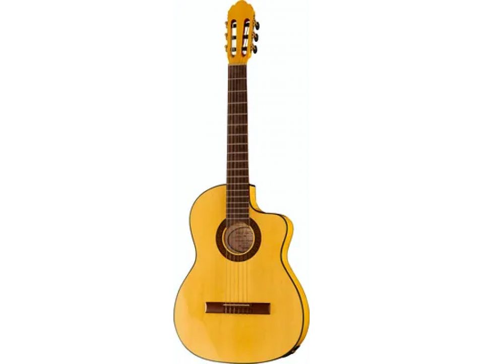 GUITARE CLASSIQUE GEWA PROARTE